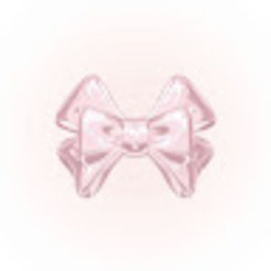 Meet your Posher, Bloom